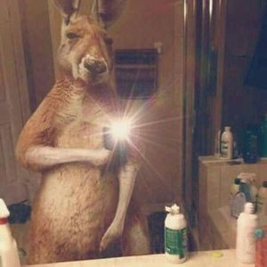 Meet your Posher, Flor